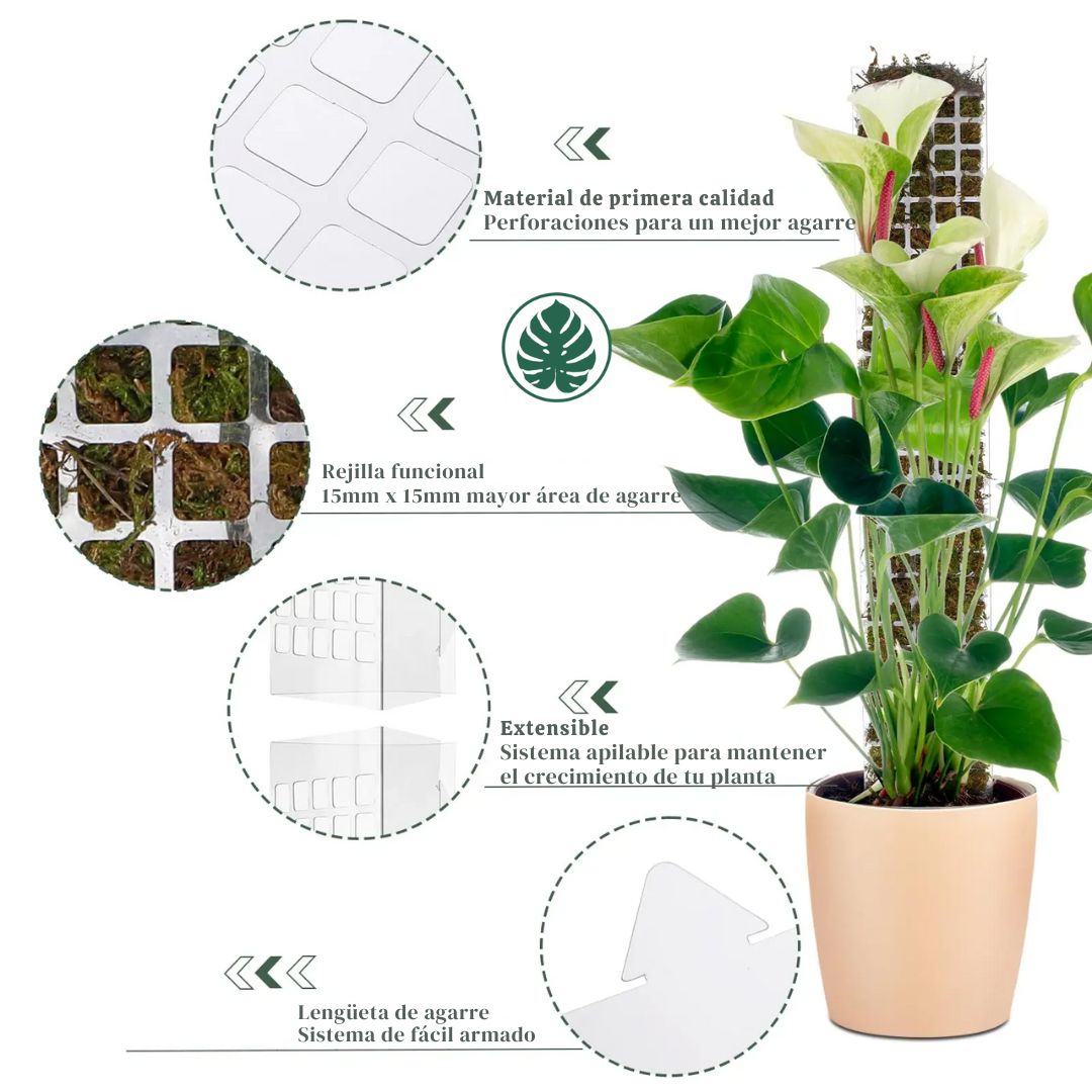 Tutor para Plantas Trepadoras