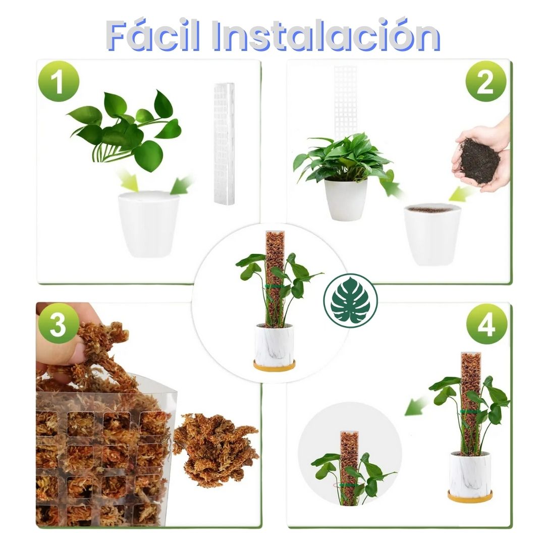 Tutor para Plantas Trepadoras