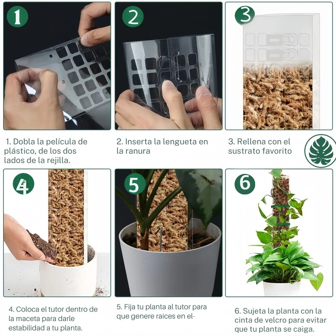 Tutor para Plantas Trepadoras