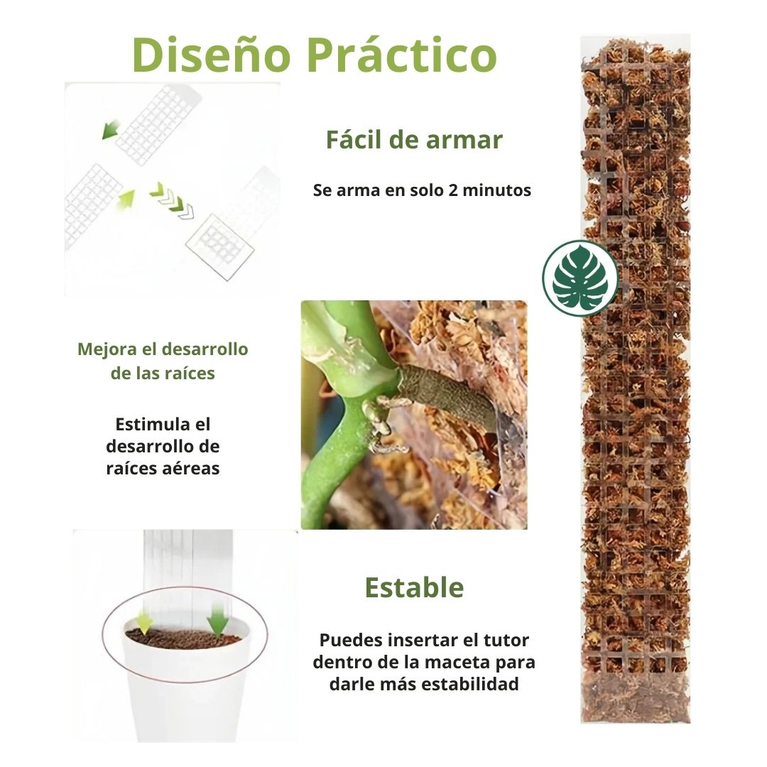 Tutor para Plantas Trepadoras