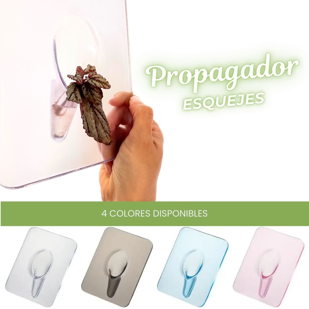 Cuadro Propagador de esquejes