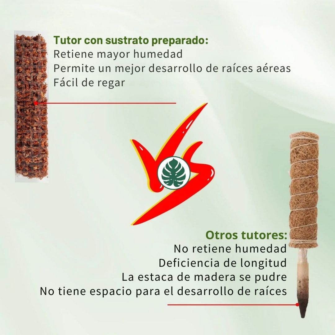 Tutor para Plantas Trepadoras