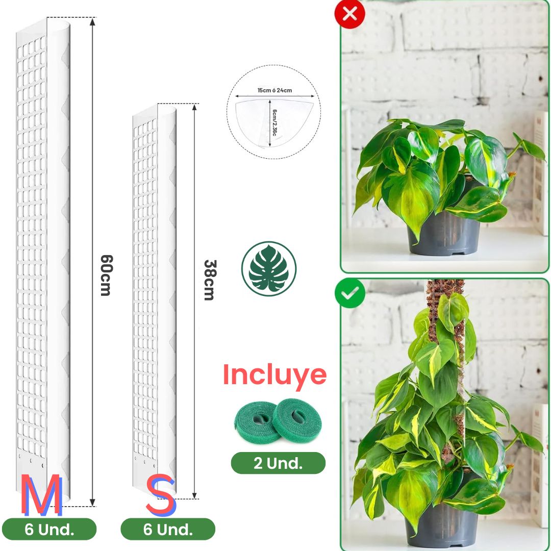 Tutor para Plantas Trepadoras