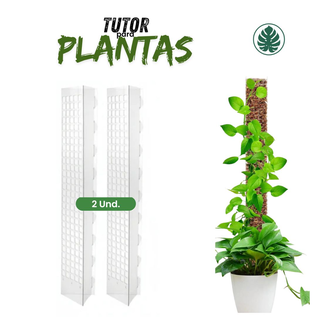 Tutor para Plantas Trepadoras