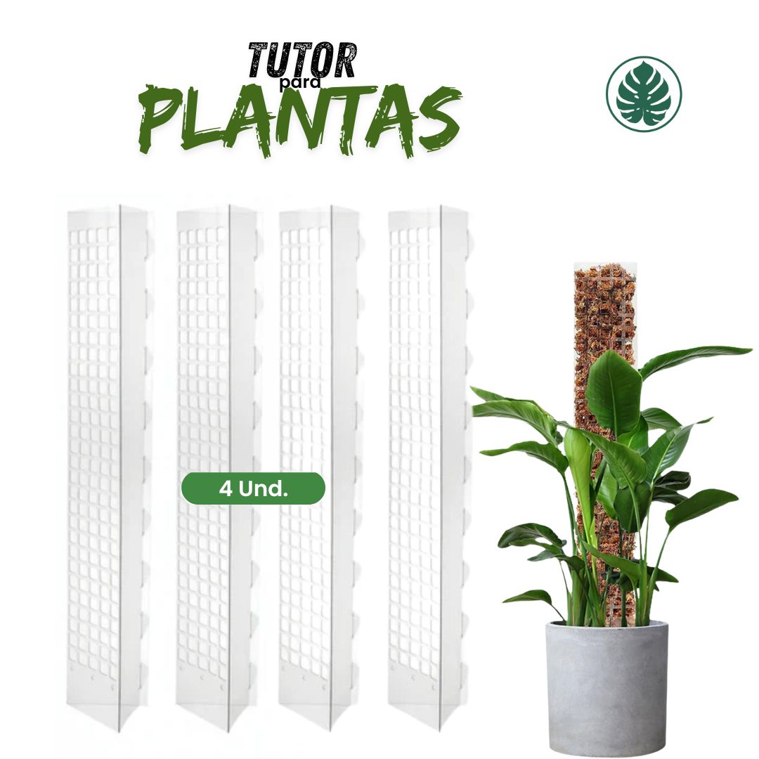 Tutor para Plantas Trepadoras