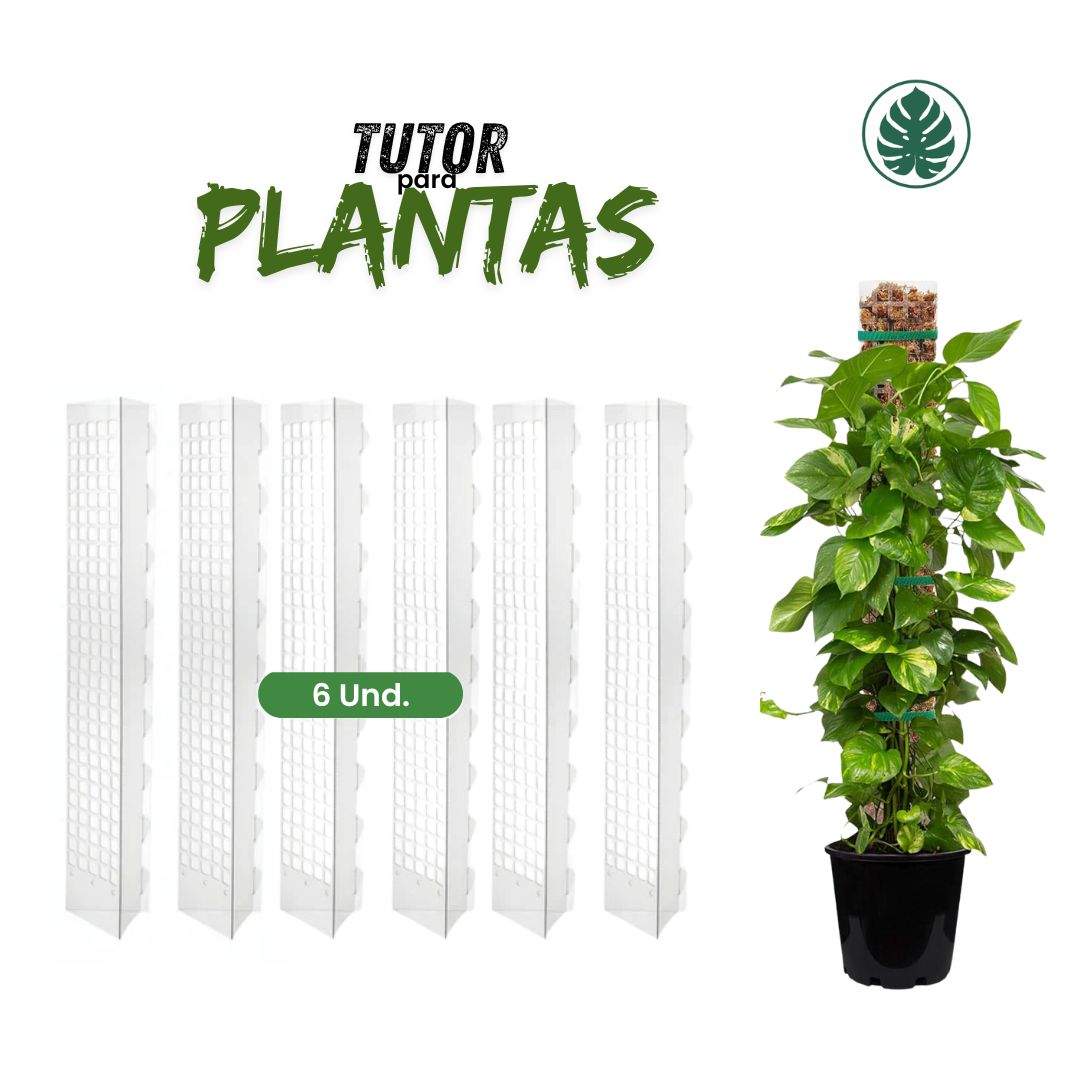 Tutor para Plantas Trepadoras