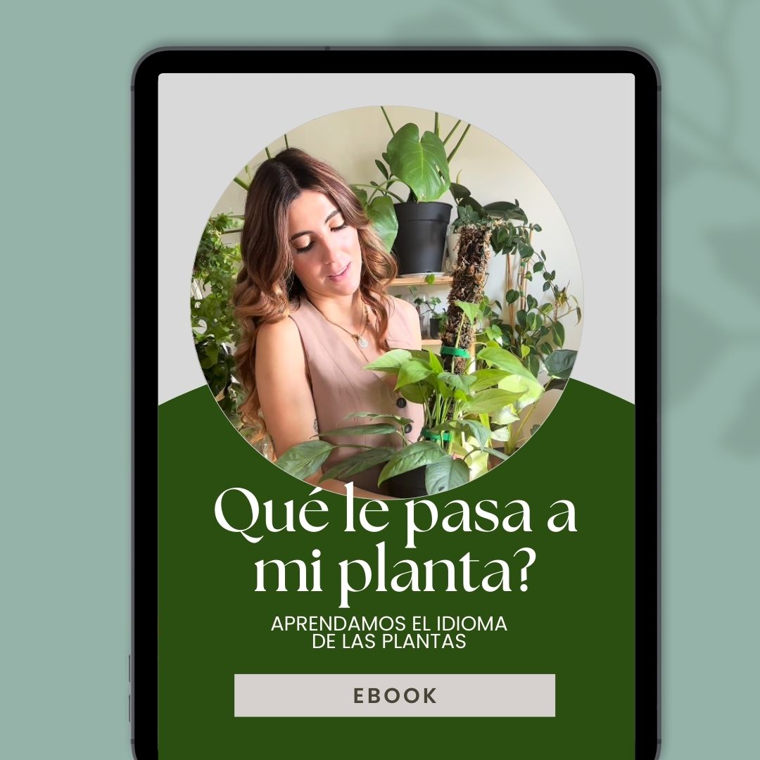 Ebook - ¿Qué le pasa a mi planta? Aprendiendo el Idioma de las Plantas - Preventa